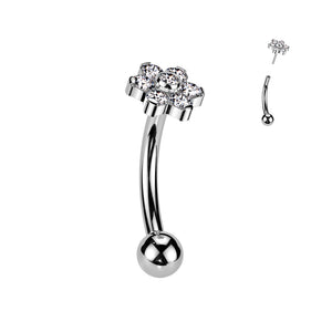 Threadless Push In Eyebrow Curved Barbell With Prong Set CZ Flower With Bezel Set CZ Center