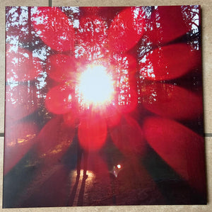 Russian Circles – Empros (Magenta & Black)