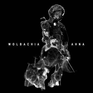 Wolbachia / Ahna – Being//There