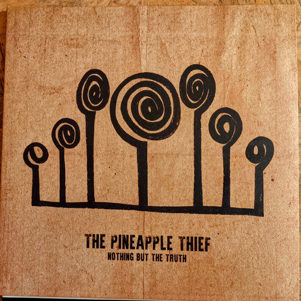 The Pineapple Thief – Nothing But The Truth